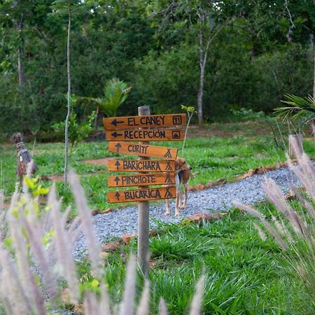 Отель Nativo Glamping Баричара Экстерьер фото
