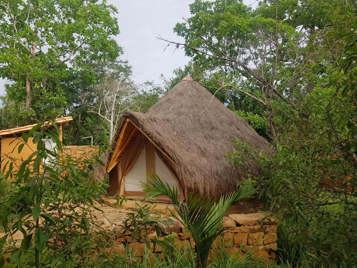 Отель Nativo Glamping Баричара Экстерьер фото