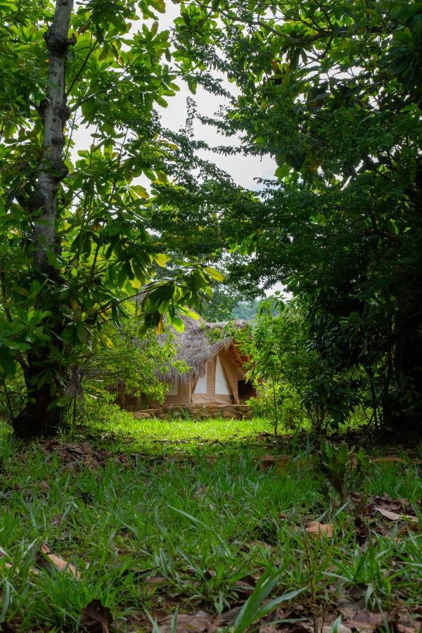 Отель Nativo Glamping Баричара Экстерьер фото